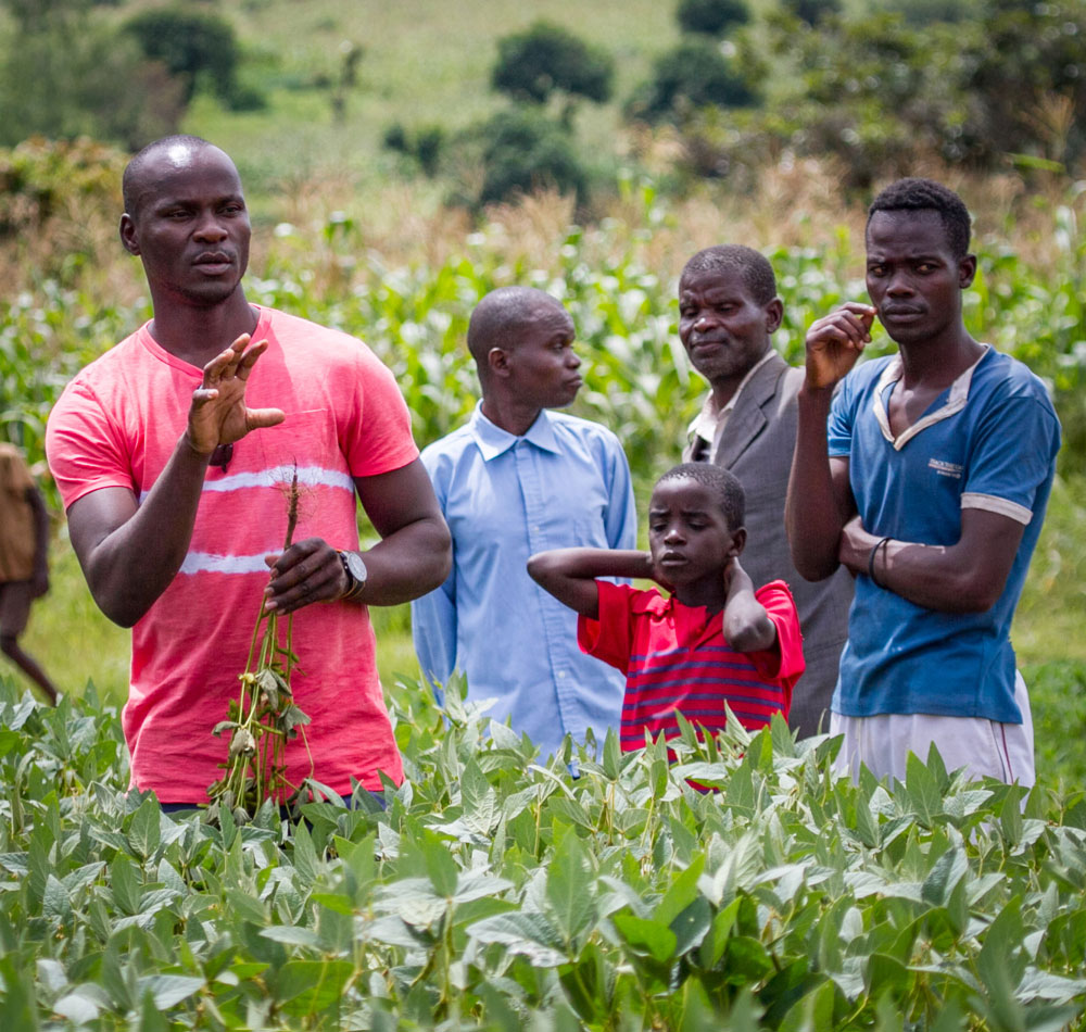 Extension Services: FSU Regional Manager Kumbu Munthali conducts a farmer training in the field